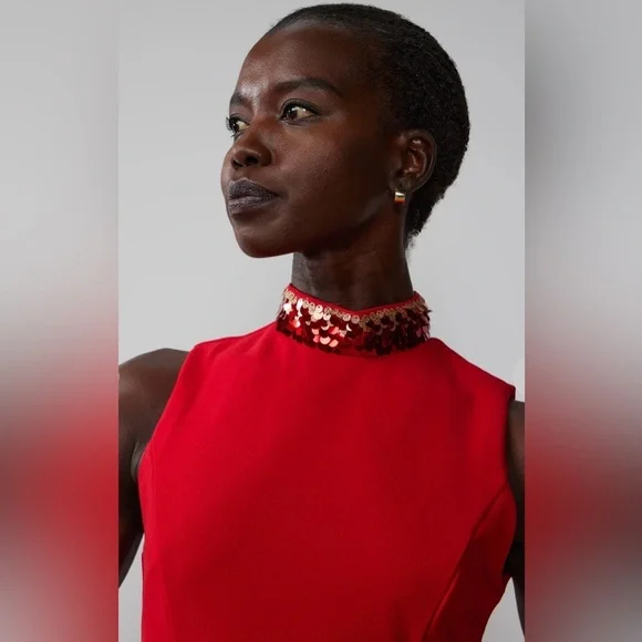 Sleeveless Sequin Trim Dress - Picture 1 of 5